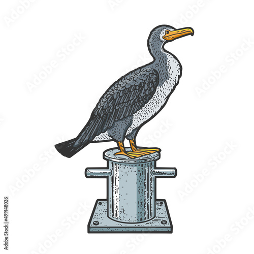 cormorant bird on mooring bollard bitt color sketch engraving vector illustration. T-shirt apparel print design. Scratch board imitation. Black and white hand drawn image.