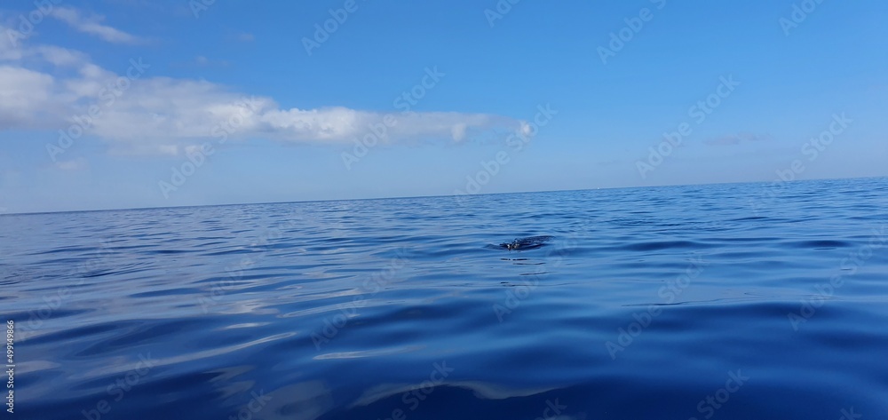 Obraz premium sea and sky