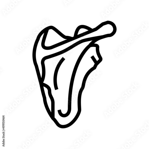 scapula bone line icon vector. scapula bone sign. isolated contour symbol black illustration