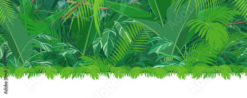 トロピカルな植物_ジャングルの風景イラスト_シームレス