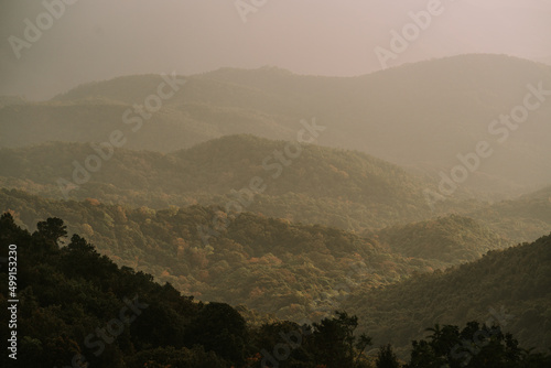 Dawn at Doi Inthanon National Park Thailand © Natalia