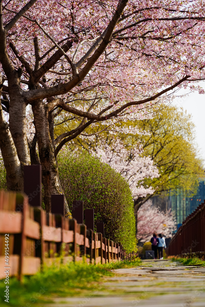 Naklejka premium ROAD