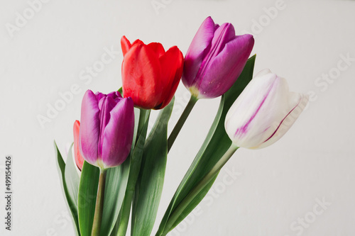 Fototapeta Naklejka Na Ścianę i Meble -  tulipes