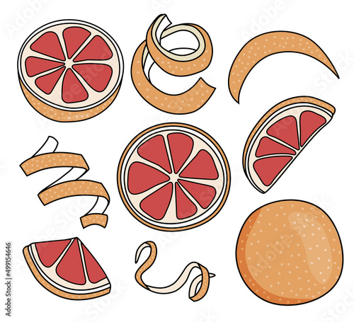 Collection set of red grapefruit pomelo and citrus fruits zest twist. Doodle cartoon style vector illustration. For menu, farmers market design, cocktail making process, cookbook decoration etc.