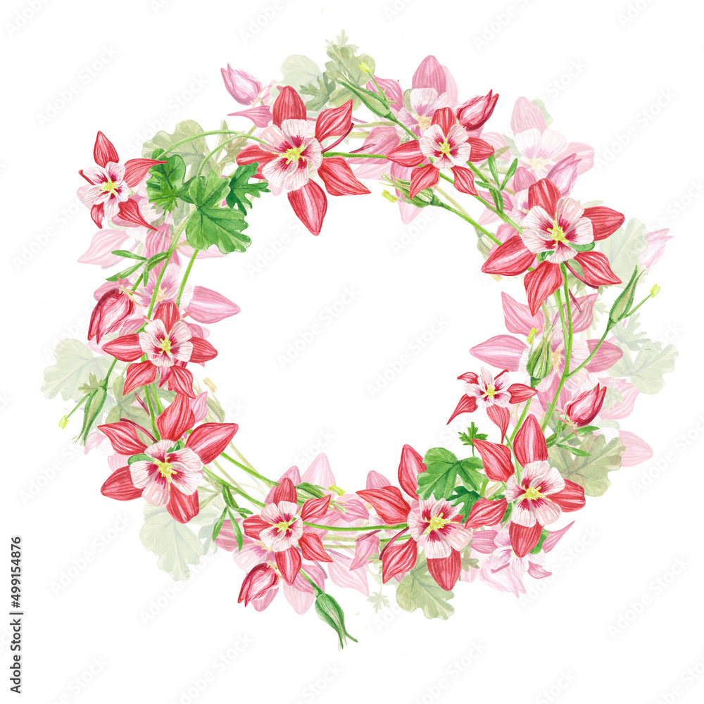 Frame pink columbine flowers. Exotic plants . A watercolor set of flowers and leaves, a hand-drawn floral illustration highlighted on a white background. Botanical. Suitable for design, postcards.