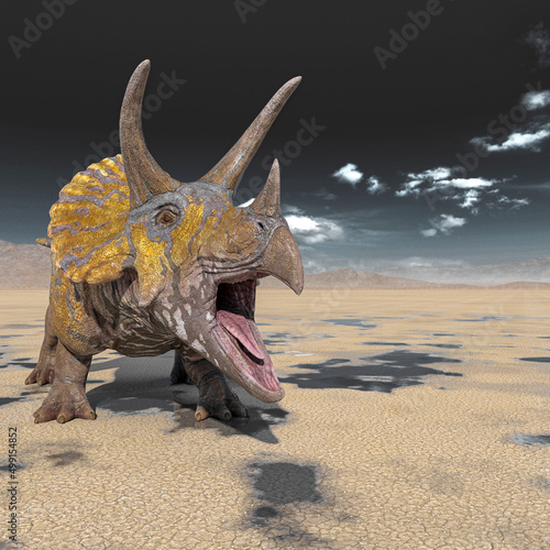 triceratops is angry on the desert after rain with space copy