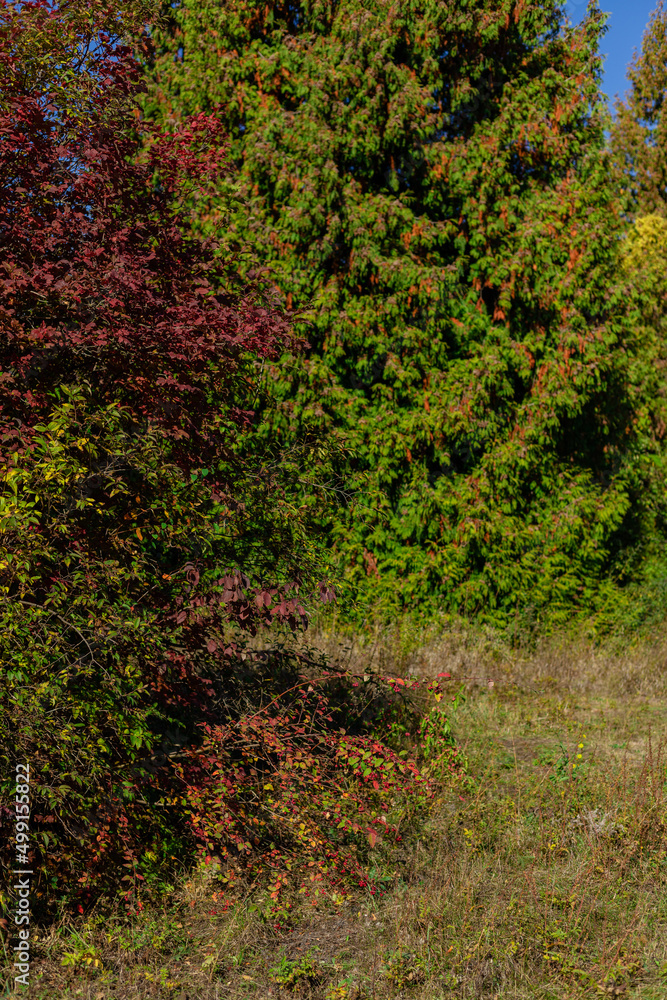 Beautiful autumn landscape against the blue sky Beautiful autumn landscape against the blue sky