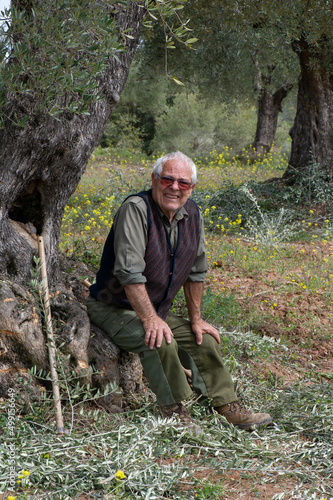 Hombre en campo descansando bajo la olivera junto una azada después de trabajar mirando a cámara photo