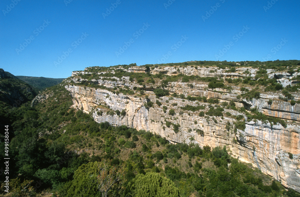 Falaise, Minerve, Hérault , Languedoc Roussillon, Parc naturel régional du Haut Lanquedoc