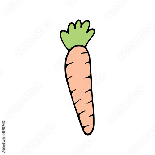 Hand drawn carrot doodle for summer and spring design
