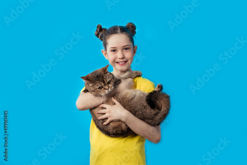 Beautiful little girl in a yellow t-shirt smiles, looks at the camera and holds a british cat on a blue background