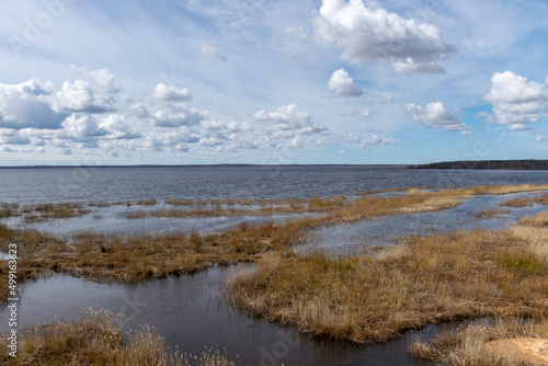flooded lake shore, overgrown with last year's reeds and bushes, bird migration, beautiful cumulus clouds © ANDA