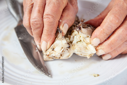 Close up of the process of breaking down a fresh crab to take out the flesh