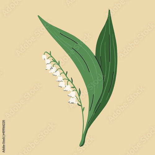 Lily of the valley flower. Spring Flower. Flat design, hand drawn cartoon, vector illustration.