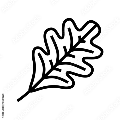 oak leaf line icon vector. oak leaf sign. isolated contour symbol black illustration