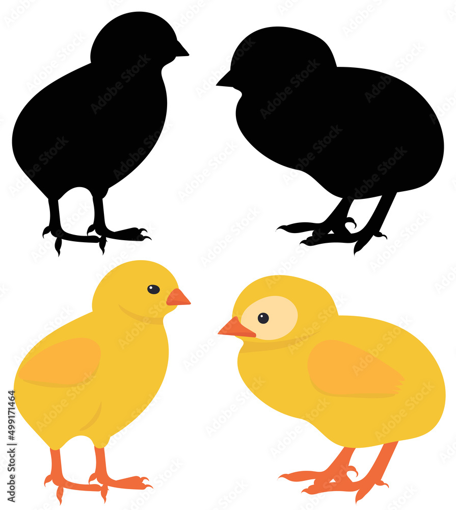 Fototapeta premium chickens silhouette, isolated on white background vector