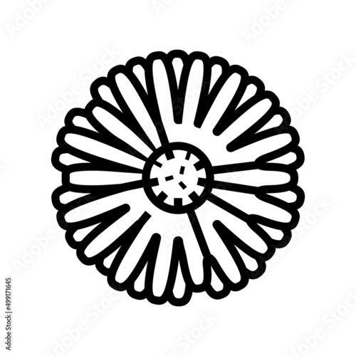 calendula flower bud line icon vector. calendula flower bud sign. isolated contour symbol black illustration