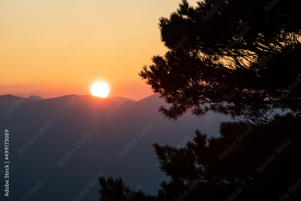 Fototapeta premium atardecer