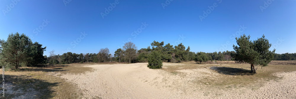 Panorama from sand dune at the Breeveen en Dartheide