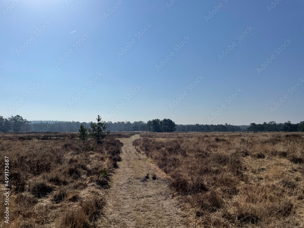 Sand path at the Breeveen en Dartheide
