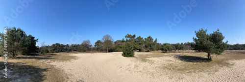 Obraz na płótnie Panorama from sand dune at the Breeveen en Dartheide w salonie