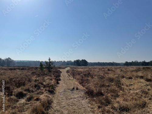 Obraz na płótnie Sand path at the Breeveen en Dartheide w salonie