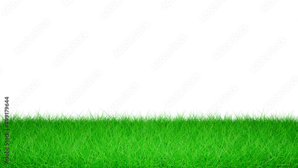3D Green Grass Isolated on White Background, Green Grass Border, Green Grass Field on White Background 3D Green Grass Isolated on White Background, Green Grass Border, Green Grass Field on White Background