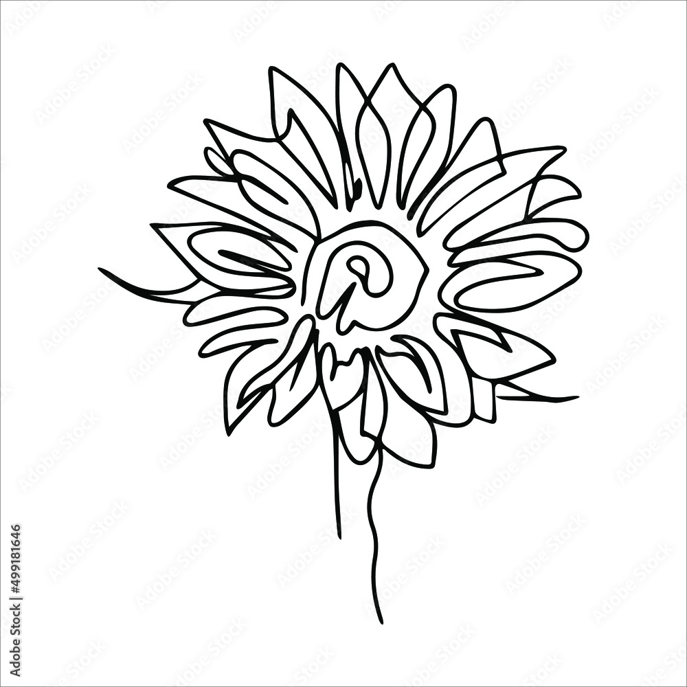 Sunflower vector illustration. Flower in one line. Flower coloring book. Outline drawing of a sunflower flower.