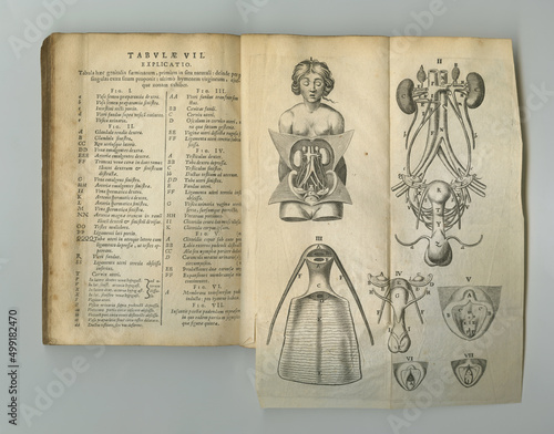Фотография Medical journal. An old anatomy book with its pages on display.