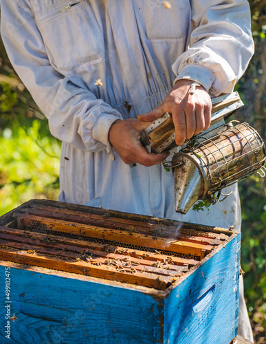 Beekeeper working in the apiary during spring © dronieguy