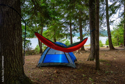 Hammock and Tent in the forest