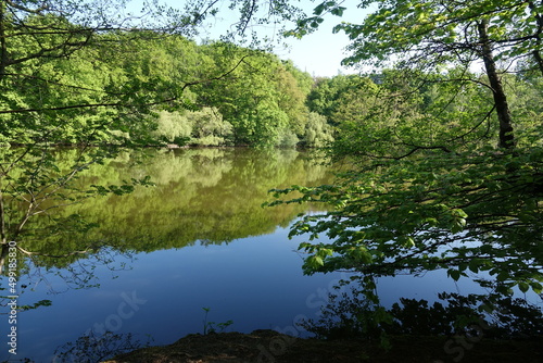 Maunzenweiher bei Frankfurt