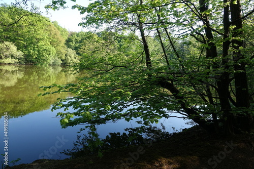 Maunzenweiher bei Frankfurt