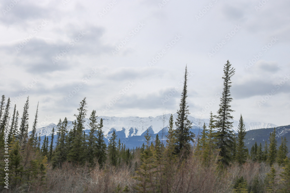 Canadian rocky mountains during winter Canadian rocky mountains during winter