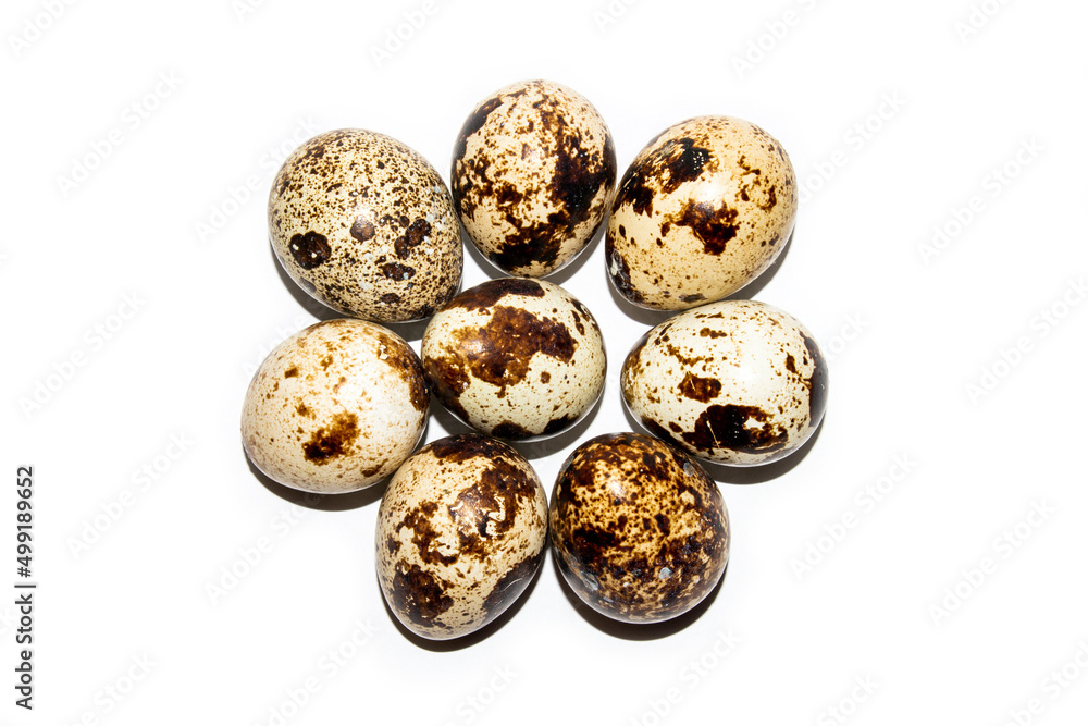 Quail eggs on a white background.Quail eggs background.Homemade quail egg.