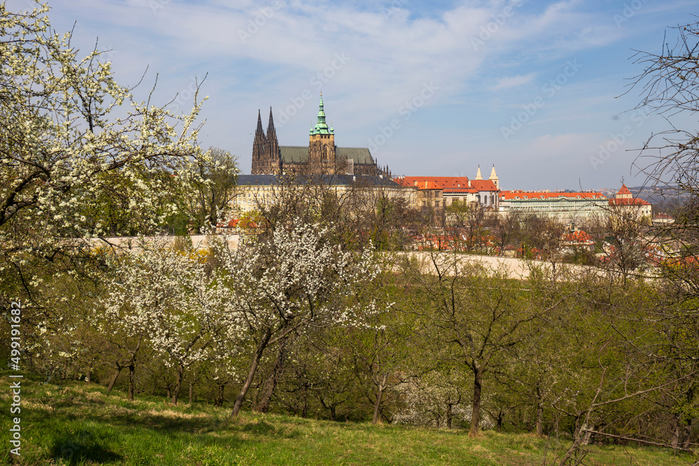 Spring Prague City with gothic Castle and the colorful Nature with flowering Trees from the Hill Petrin, Czech Republic