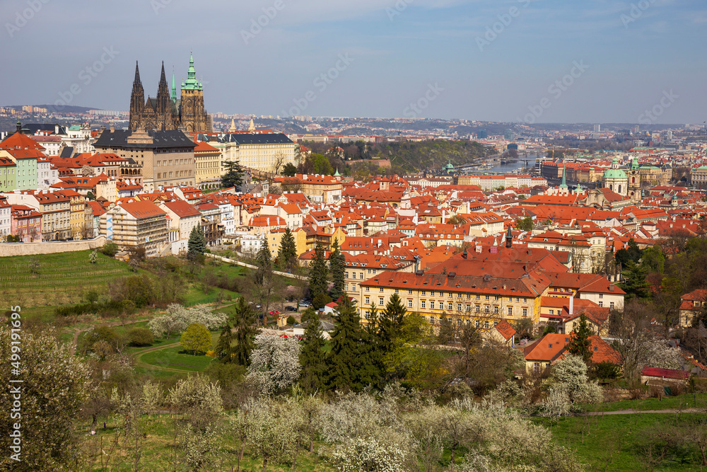 Obraz premium Spring Prague City with gothic Castle and the colorful Nature with flowering Trees from the Hill Petrin, Czech Republic