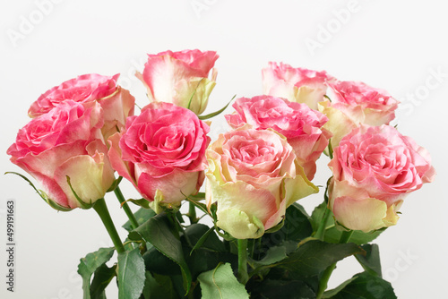Bouquet of beautiful fresh pink roses, close up.