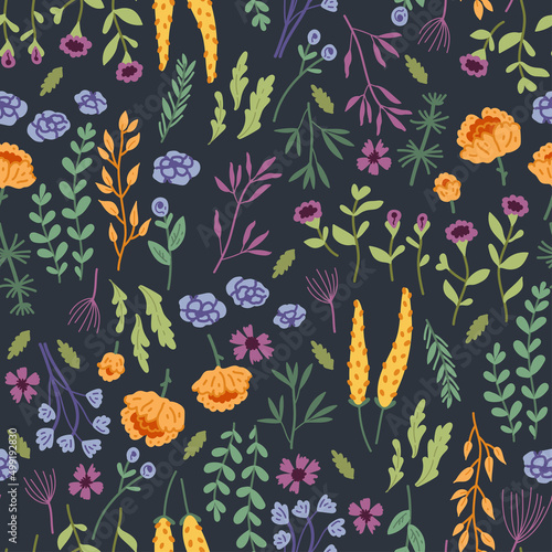 Vector seamless pattern with hand drawn wild plants, herbs and flowers, colorful botanical illustration, floral elements, hand drawn repeating background. Wild meadow herbs, flowering flowers