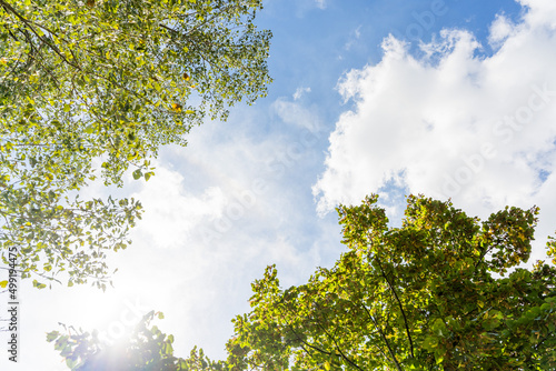 Vegetación y nubes