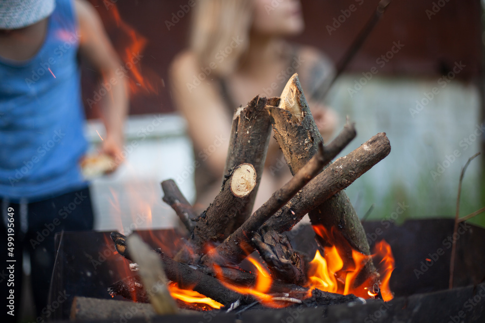 Fototapeta premium Branches burn in fire. Picnic details. Coal harvesting. Simple background of outdoor recreation. Tree burns against background of people.