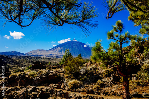 Beautiful panoramic image of the Teide volcano, a sunny day with an intense blue sky to be enjoyed by nature tourists.