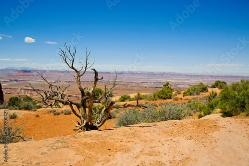 Canyonlands National Park in southeastern Utah, a dramatic desert landscape carved by the Colorado River.  photo