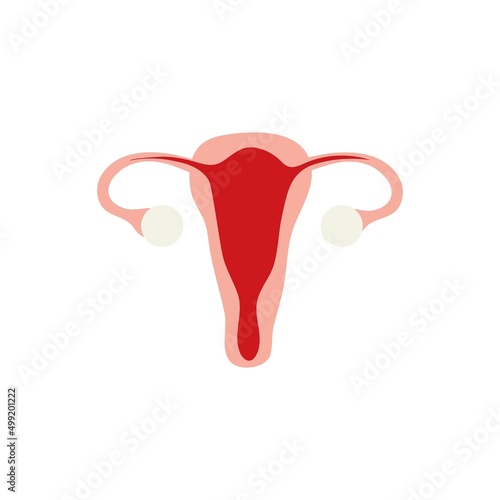 Women reproduction, uterus icon template vector