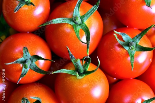 tomatoes on the vine