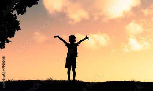 Confident happy child with arms up to the sunset