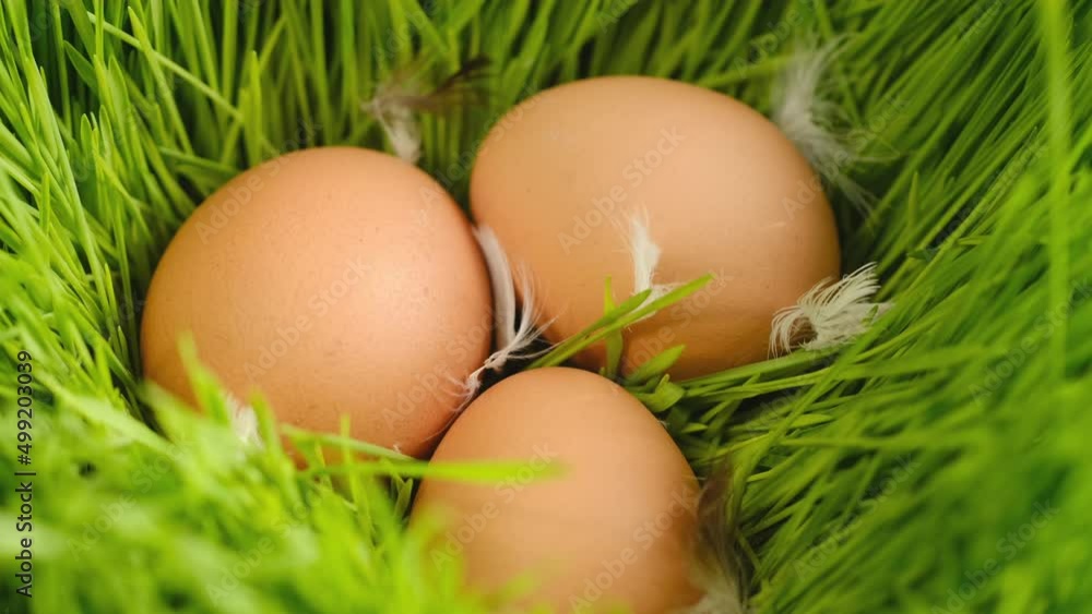 Chicken egg, rotation shot, Chicken fresh raw eggs.Healthy fresh food ingredients for breakfast. Animal products. Grocery. Chicken farm fresh eggs Chicken egg, rotation shot, Chicken fresh raw eggs.Healthy fresh food ingredients for breakfast. Animal products. Grocery. Chicken farm fresh eggs