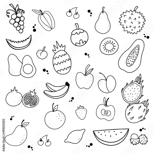 Fototapeta Naklejka Na Ścianę i Meble -  Hand drawn set of fruit with outline style vector illustration