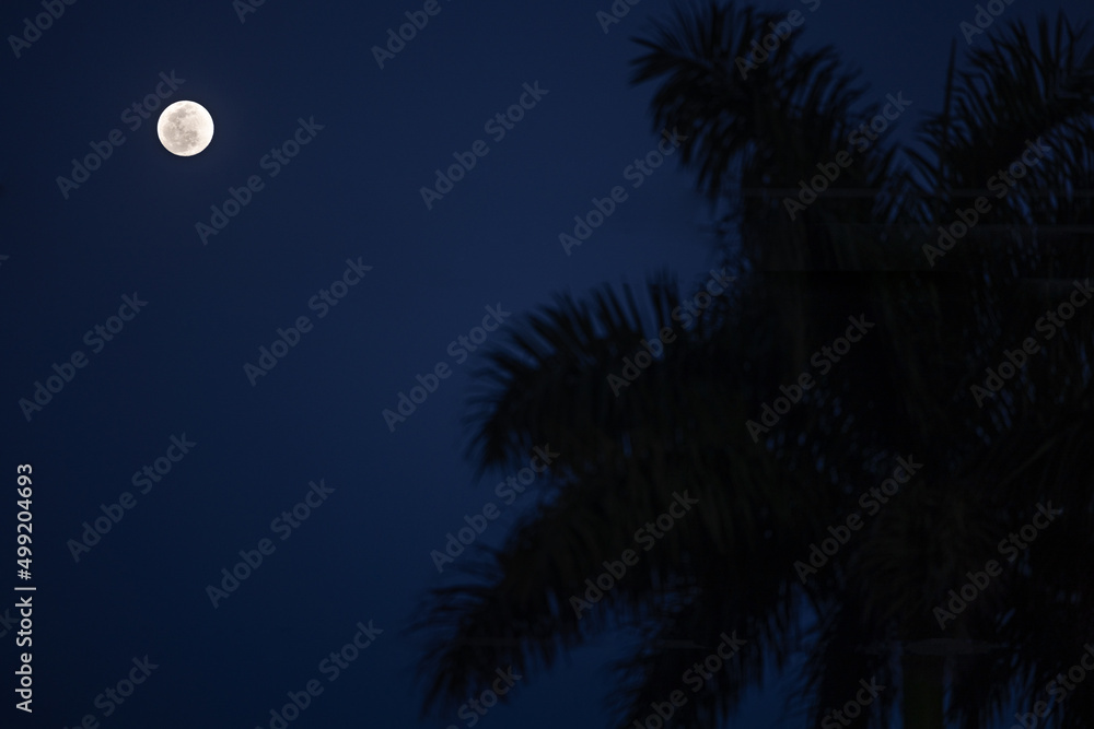 MOON