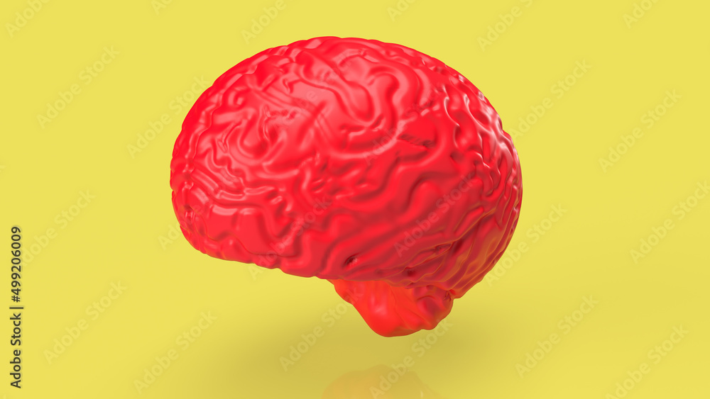 red brain on yellow back ground 3d rendering red brain on yellow back ground 3d rendering
